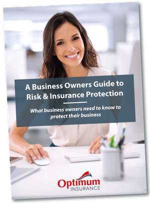 Business Risk Guide cover Business Risk Guide cover