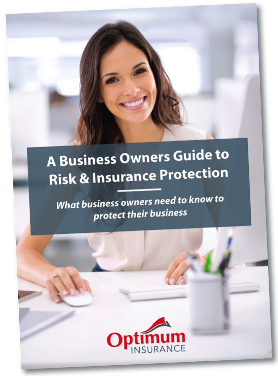 Business Risk Guide cover Business Risk Guide cover